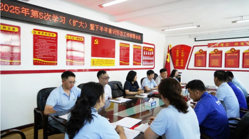 汽貿(mào)公司黨支部對學(xué)習(xí)教育“回頭看”工作再檢查再部署再推動(dòng)