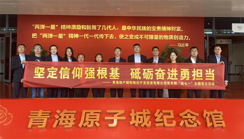 堅定信仰強根基，砥礪奮進勇擔當 朝物開投公司黨支部開展迎“七一”主題黨日活動