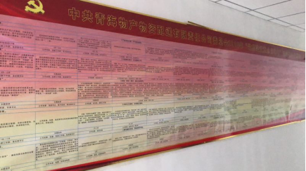 物產(chǎn)配送公司黨委“黨的建設(shè)重點(diǎn)強(qiáng)化年”活動(dòng)2018年工作任務(wù)、組織保障具體化